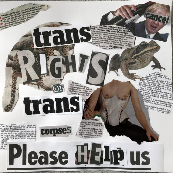 Trans Rights / Collage